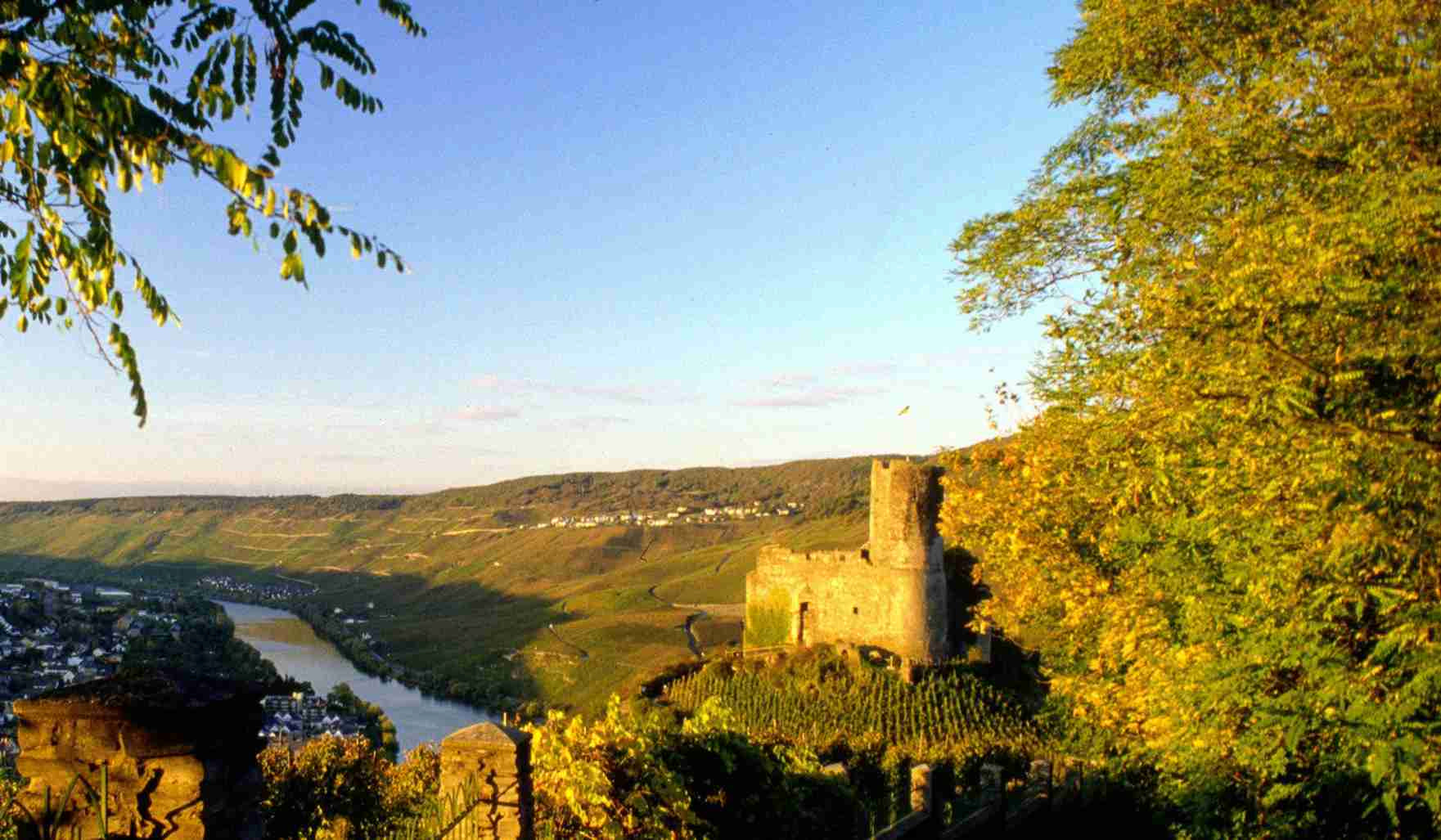 Imagefilm Weingut Fries
